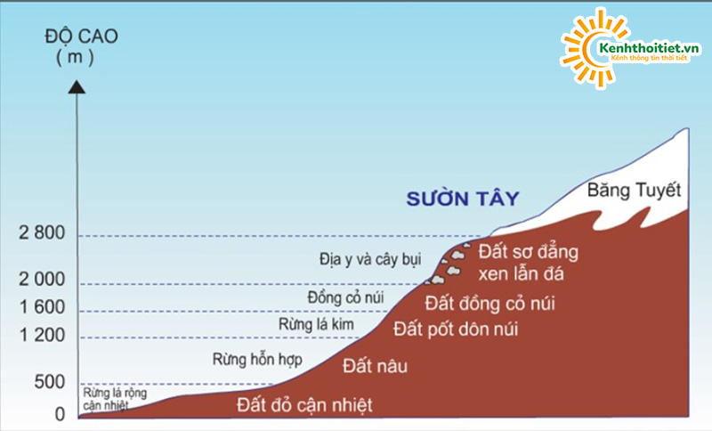 So sánh quy luật địa ô và quy luật đai cao