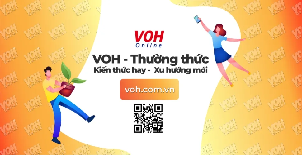 35+ bài thơ về thiên nhiên "bến đỗ" bình yên cho tâm hồn