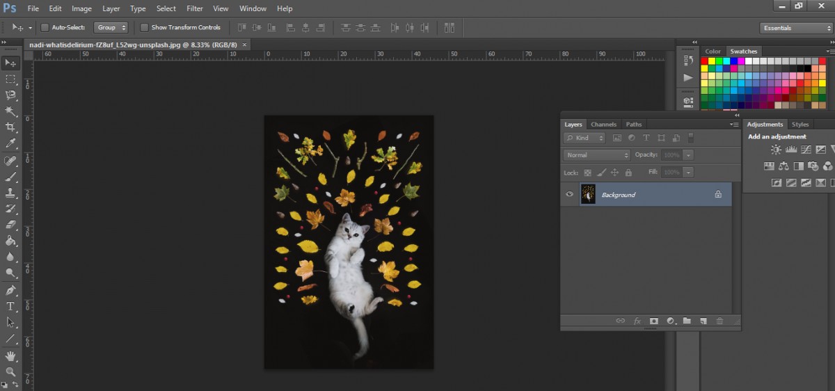 Cách cắt hình tròn trong Photoshop cực đơn giản