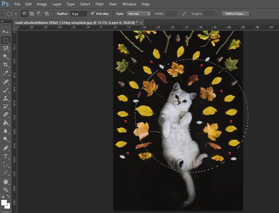 Cách cắt hình tròn trong Photoshop cực đơn giản