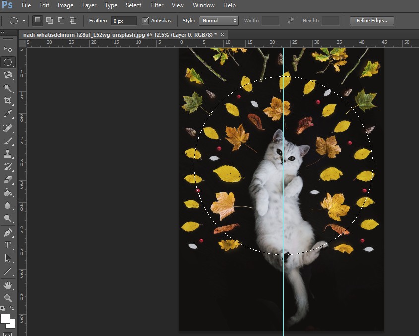 Cách cắt hình tròn trong Photoshop cực đơn giản