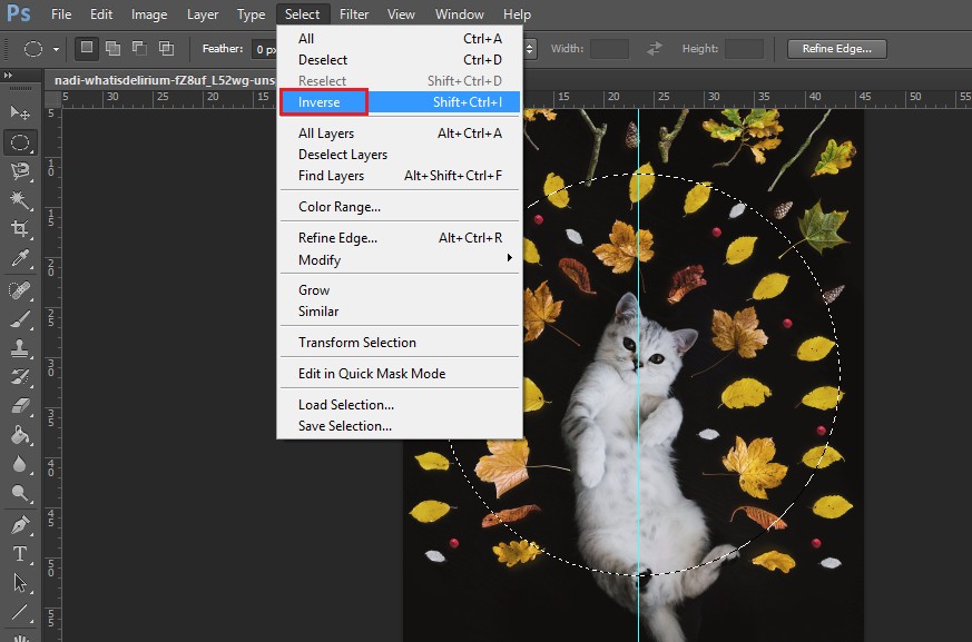 Cách cắt hình tròn trong Photoshop cực đơn giản