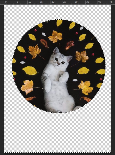 Cách cắt hình tròn trong Photoshop cực đơn giản