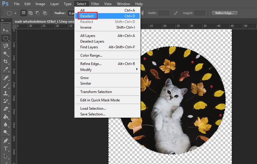 Cách cắt hình tròn trong Photoshop cực đơn giản