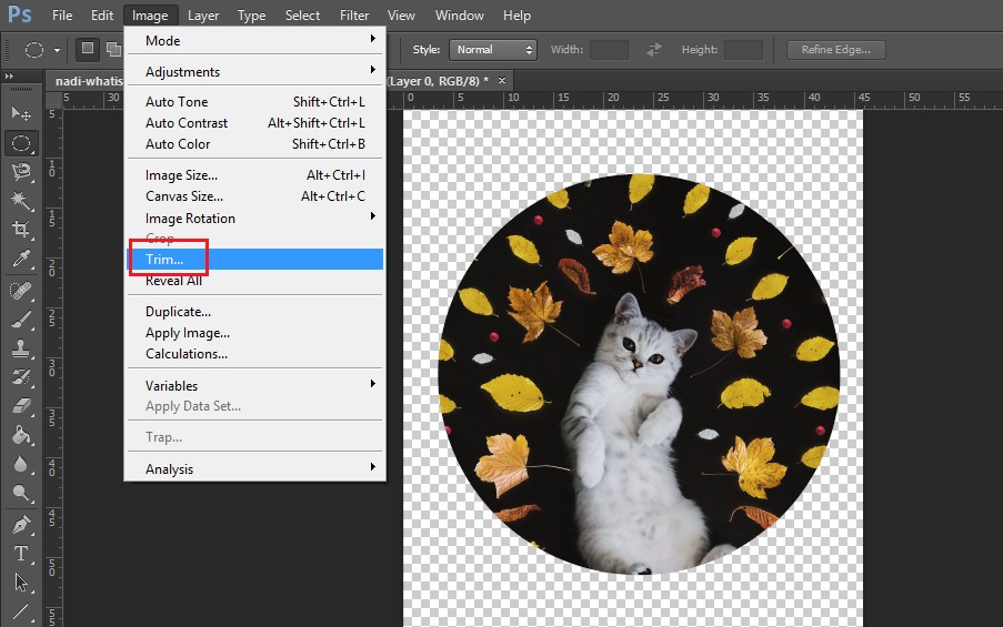 Cách cắt hình tròn trong Photoshop cực đơn giản