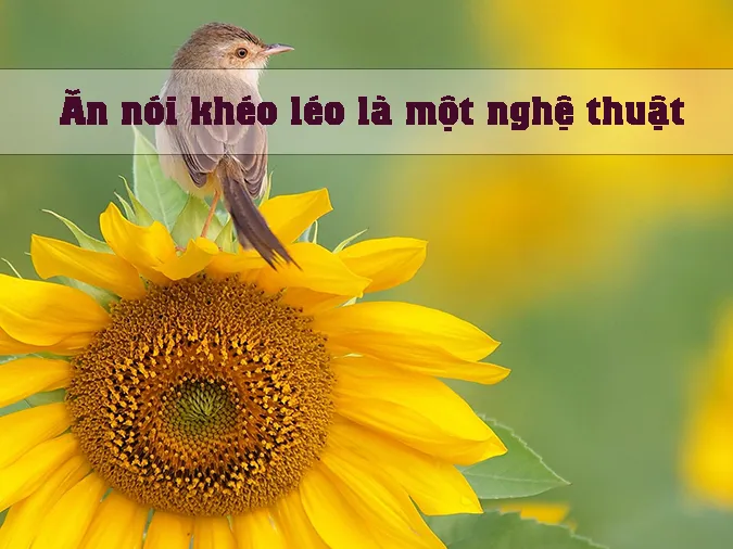Giải thích ý nghĩa câu ca dao ‘Chim khôn kêu tiếng rảnh rang/Người khôn nói tiếng dịu dàng dễ nghe’