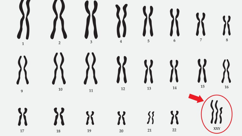Claiphento là gì? Gây ảnh hưởng khả năng sinh sản nam giới ra sao?