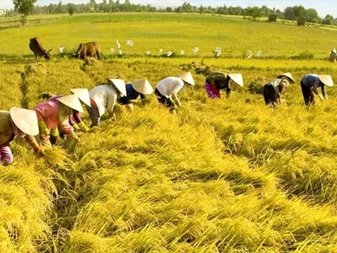 Giải thích ý nghĩa tục ngữ "Có làm thì mới có ăn không dưng ai dễ đem phần đến cho"