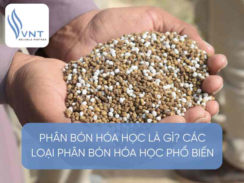 PHÂN BÓN HÓA HỌC LÀ GÌ? TỔNG HỢP CÁC LOẠI PHÂN BÓN HÓA HỌC 2025