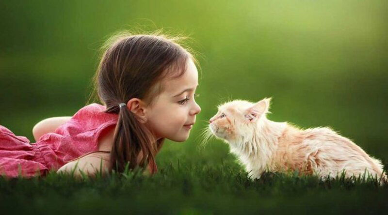 Mèo và trẻ em - bộ đôi khiến tim bạn tan chảy vì quá đỗi đáng yêu