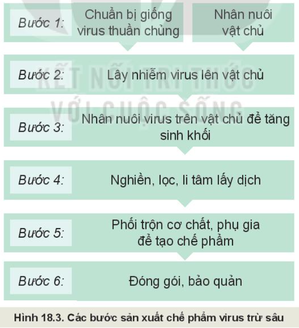 Lý thuyết ứng dụng công nghệ vi sinh trong phòng trừ sâu, bệnh hại cây trồng - Công nghệ 10</>
