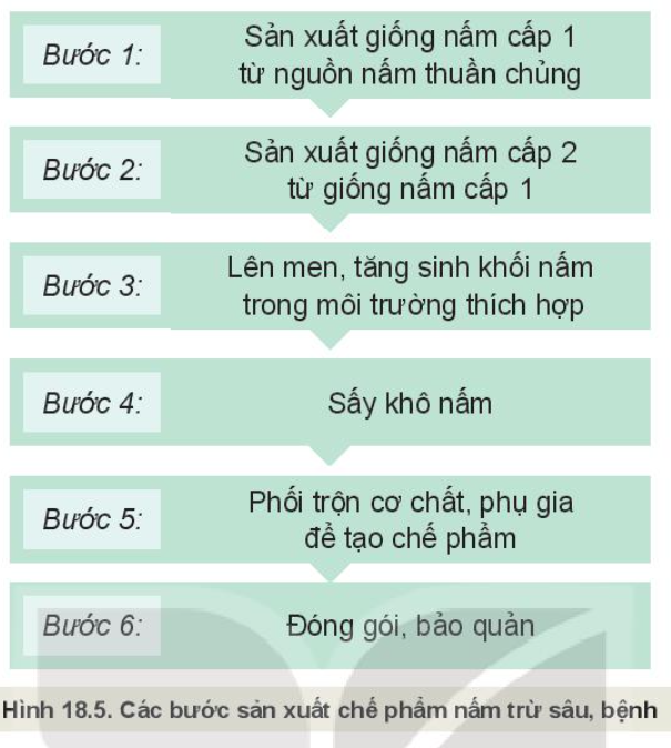 Lý thuyết ứng dụng công nghệ vi sinh trong phòng trừ sâu, bệnh hại cây trồng - Công nghệ 10</>