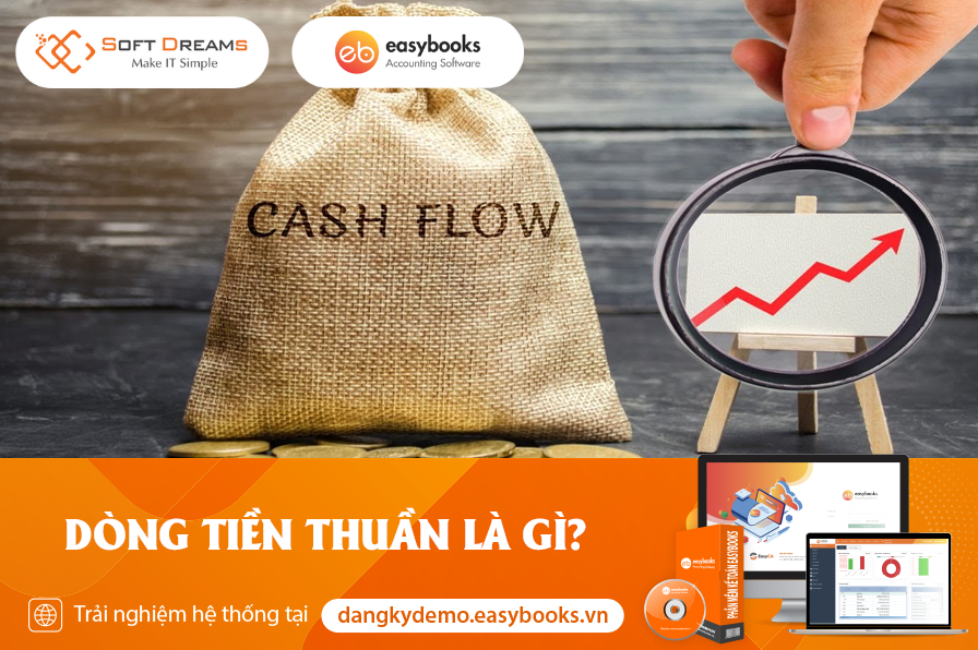 Dòng Tiền Thuần Là Gì?