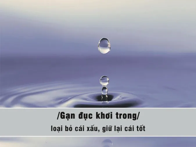 Giải thích ý nghĩa thành ngữ "Gạn đục khơi trong" và bài học nhận thức