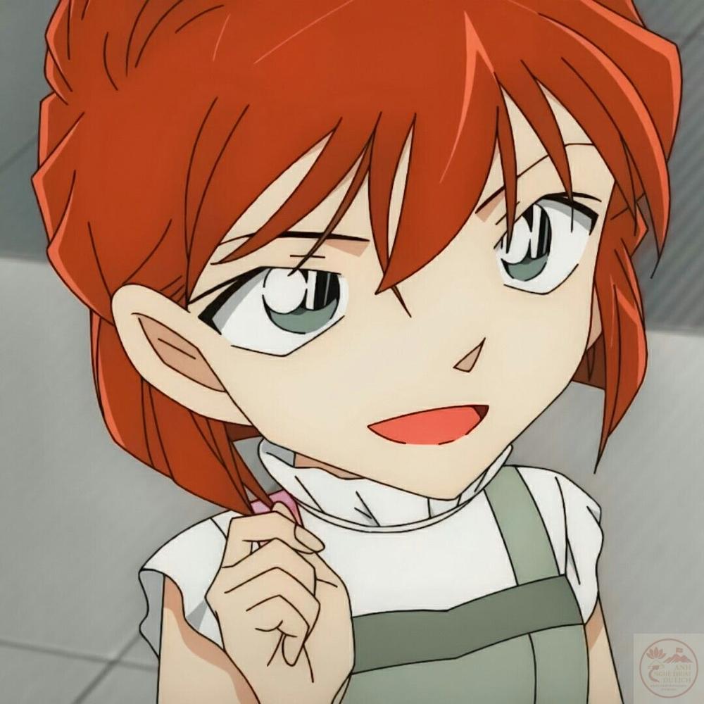 Haibara Ai tĩnh lặng dừng lại ngắm nhìn
