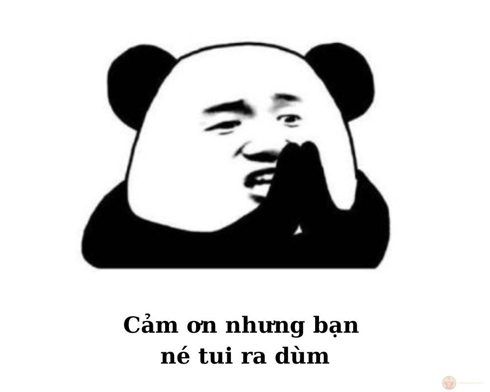 Cảm ơn đời vì vẫn cho tôi thấy ánh sáng
