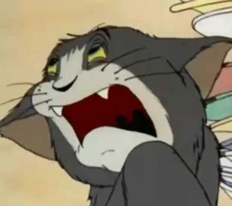 Meme Tom đau khổ