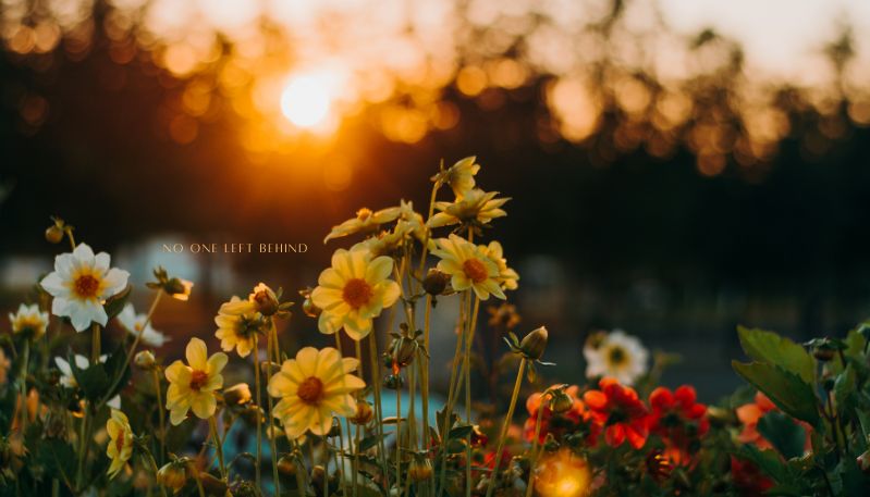 Hình nền 4K