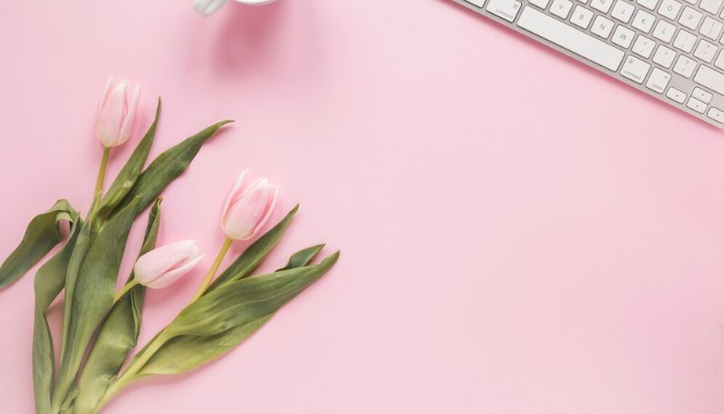 Hình nền máy tính hoa tulip đỏ