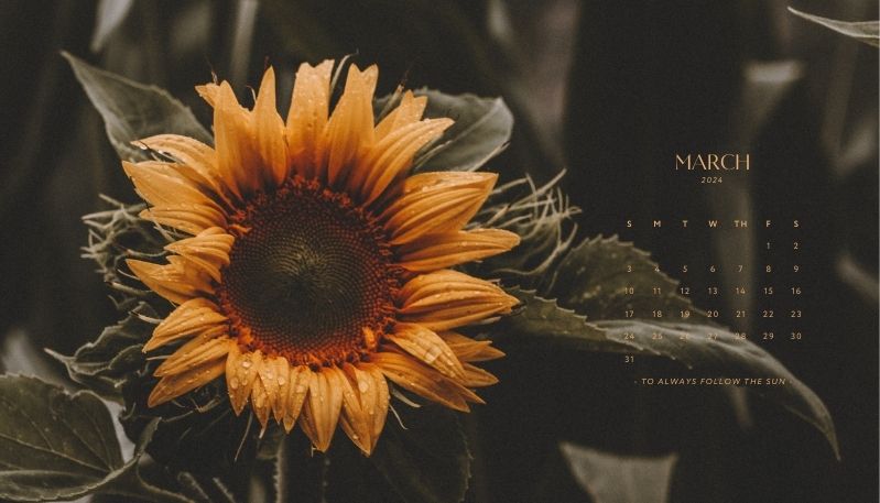 hình nền máy tính chủ nghĩa tối giản