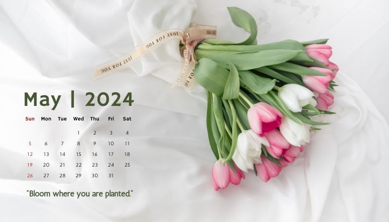 Hình nền máy tính lịch tháng minimalist