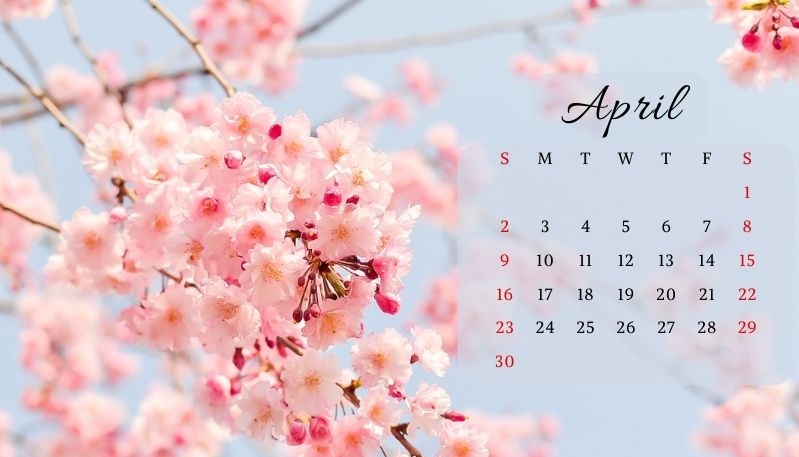Hình nền máy tính lịch tháng mùa xuân