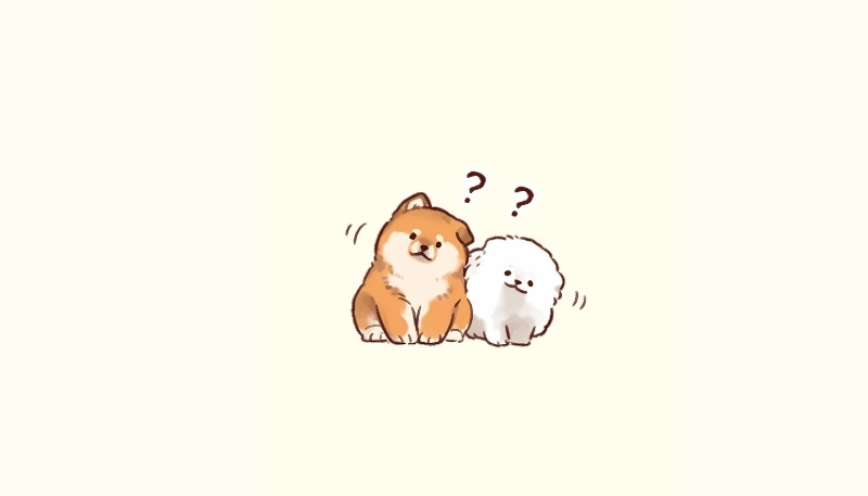 ảnh nền tình yêu mèo trái tim