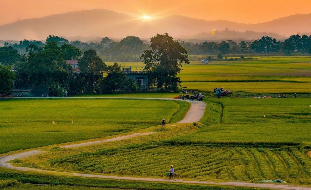 Ảnh đồng quê khi bình minh ló dạng sương còn giăng lối mòn