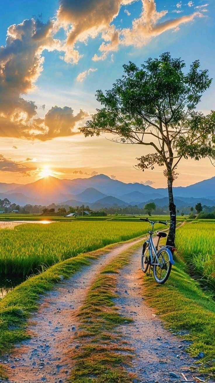 Hình ảnh làng quê yên bình lúc ánh sáng lên