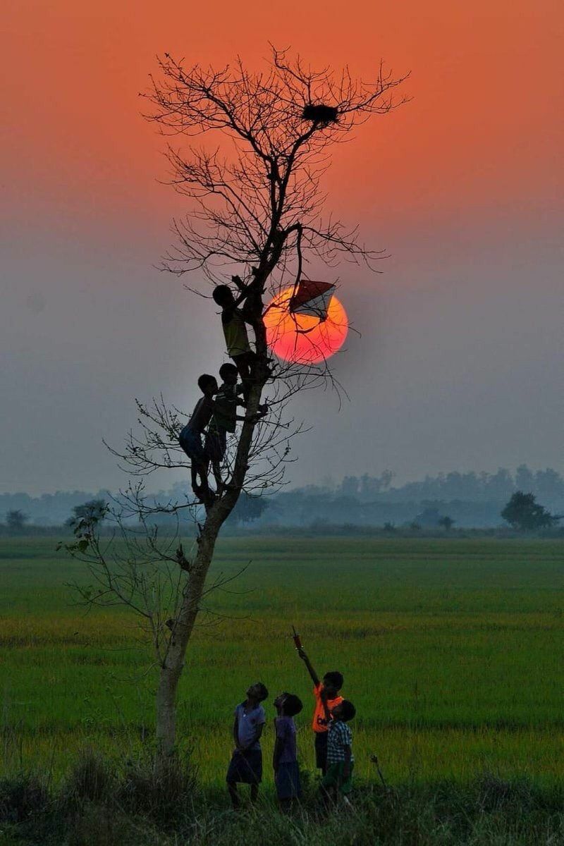 Hình ảnh đồng quê bình yên có lũ trẻ chơi