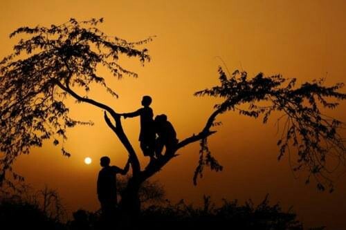 Hình ảnh đồng quê đẹp nhất là khi hoàng hôn nhuộm trời đỏ