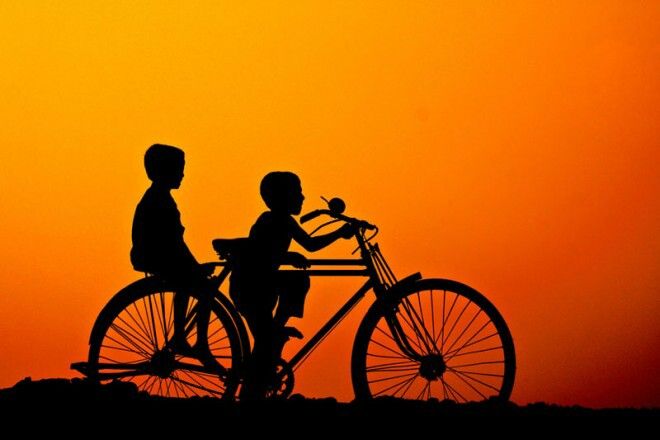 Hình nền quê hương việt nam với bóng nắng cuối ngày trên đồng