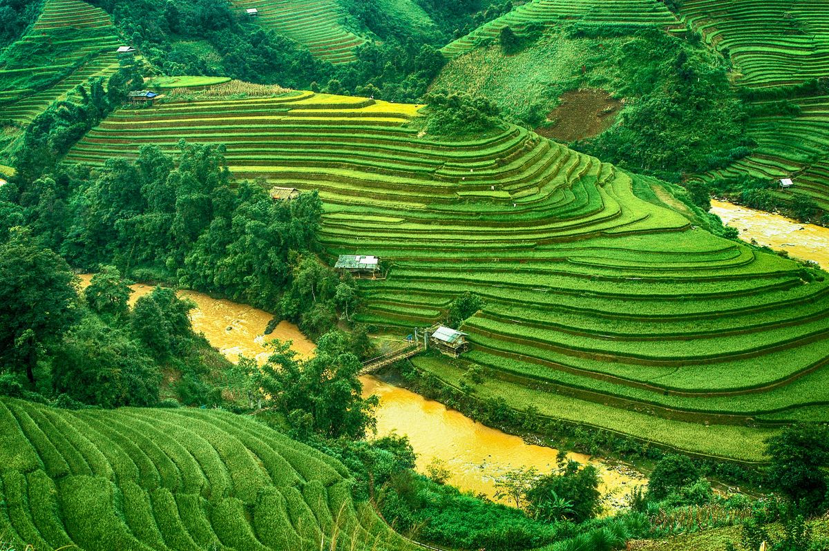 Ảnh đồng quê chill khi hoàng hôn nhuộm vàng ruộng bậc thang