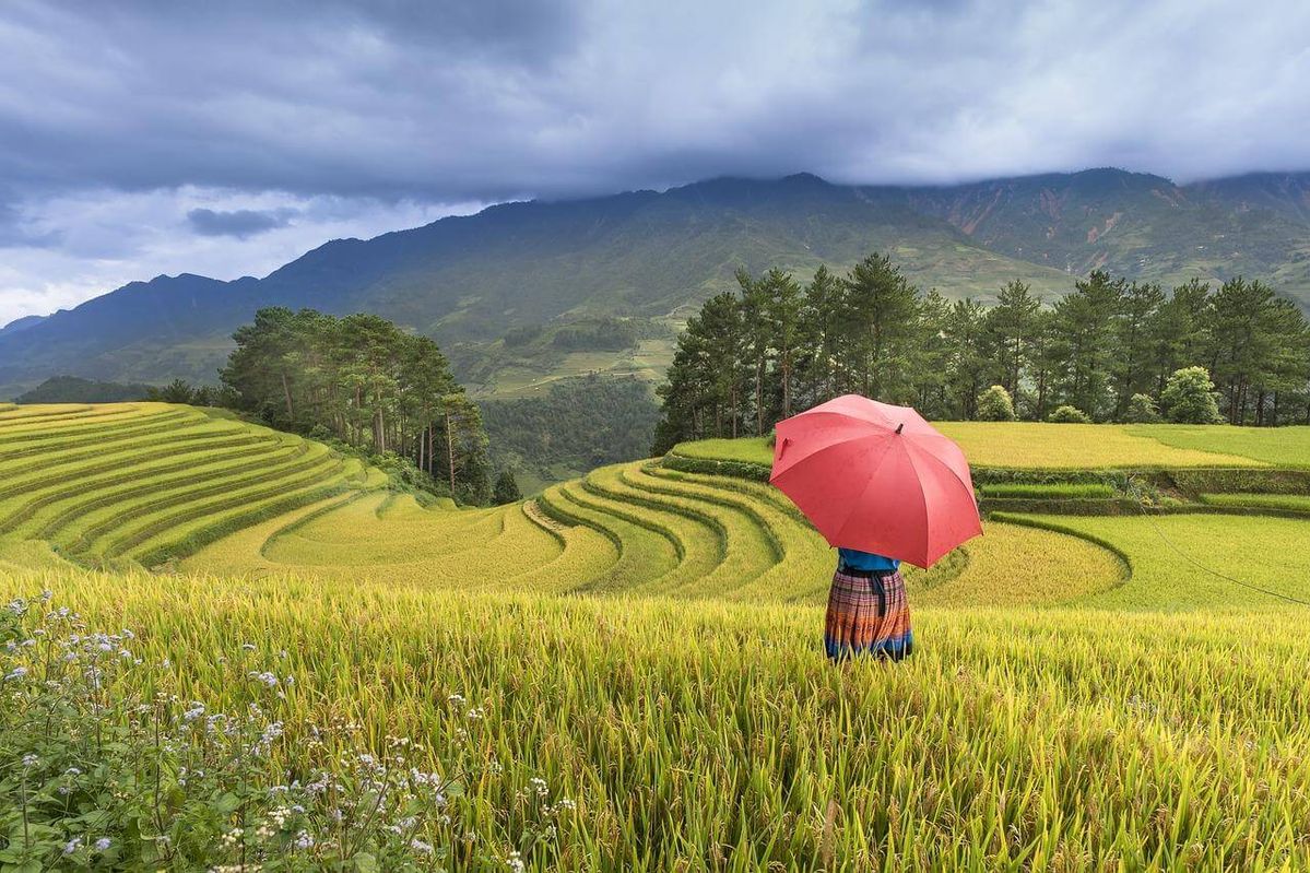 Hình ảnh làng quê yên bình có trẻ em nô đùa giữa bậc thang