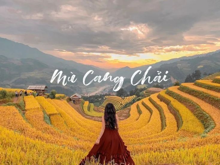 Hình ảnh làng quê thanh bình có bà con gụi lúa trên bậc thang