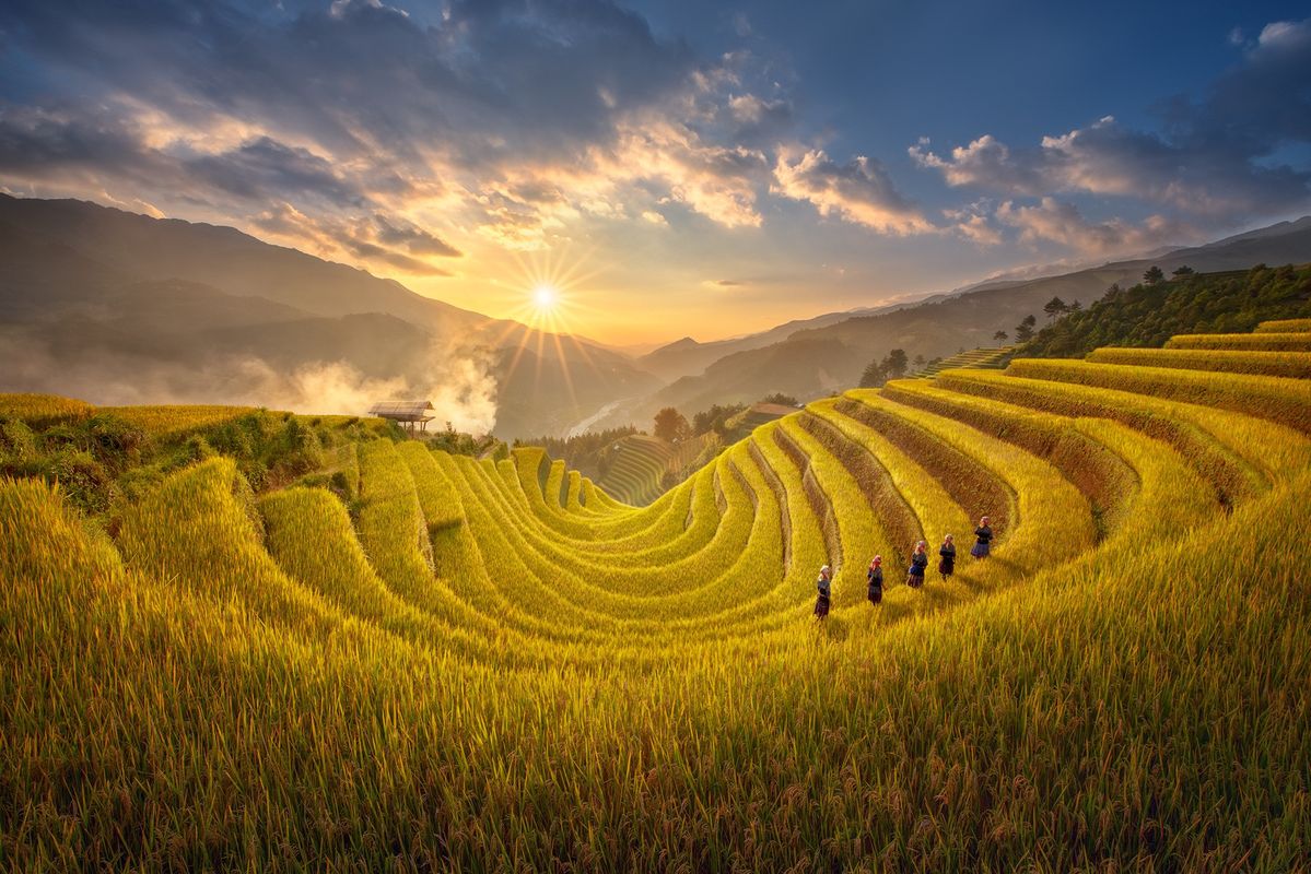 Hình ảnh đồng quê đẹp nhất là sương sớm vỡn ruộng bậc thang