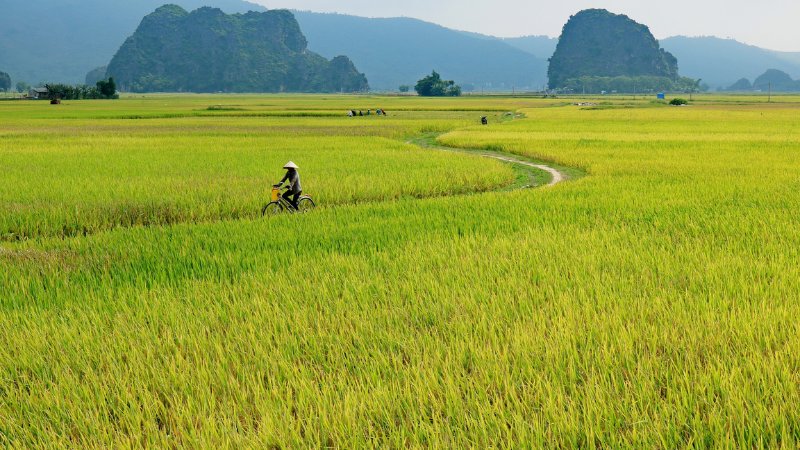 hinh-anh-binh-yen-lang-que-tinh-lang-23