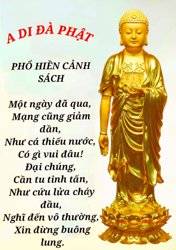 Hình ảnh chữ Nam Mô A Di Đà Phật đẹp
