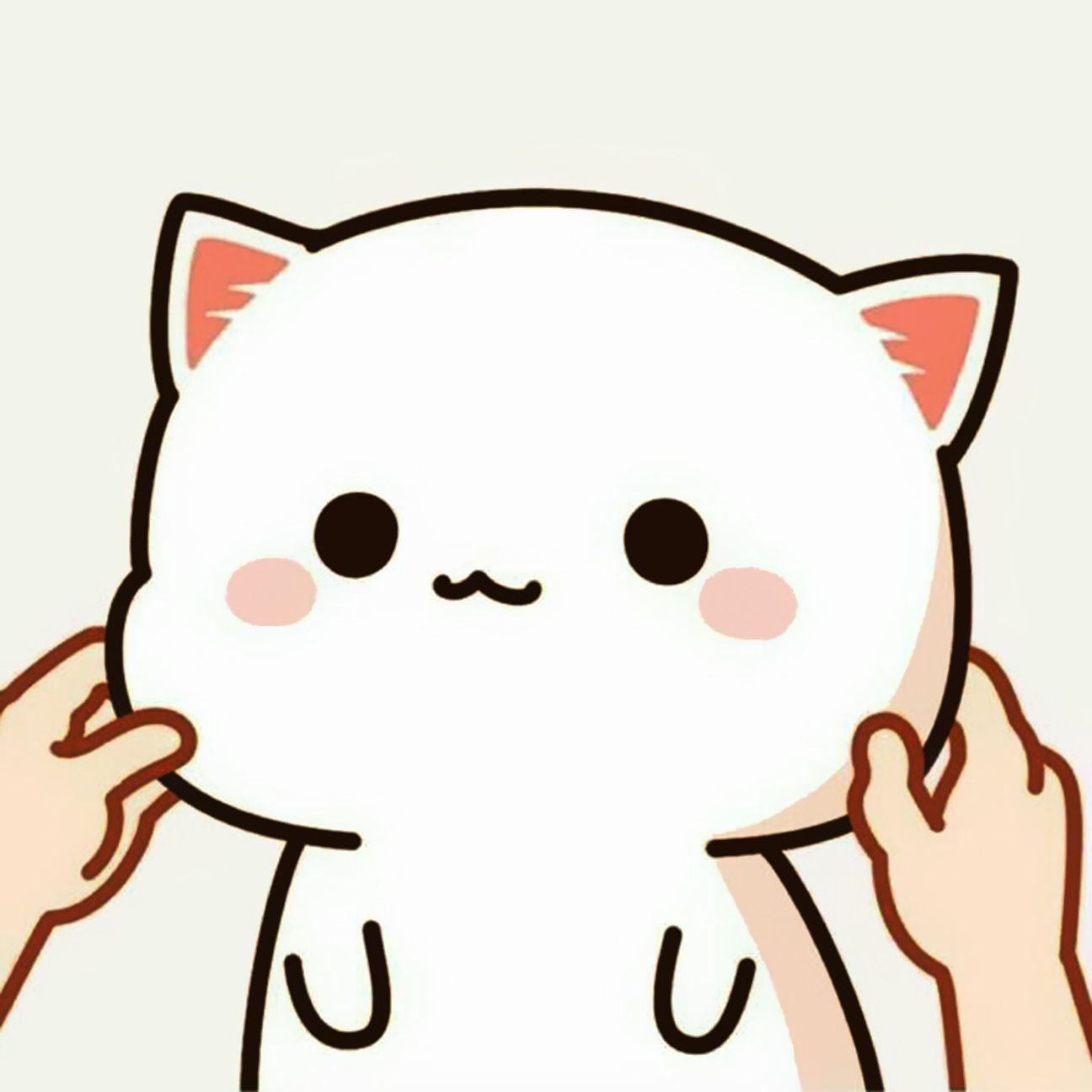 Avatar mèo cute anime