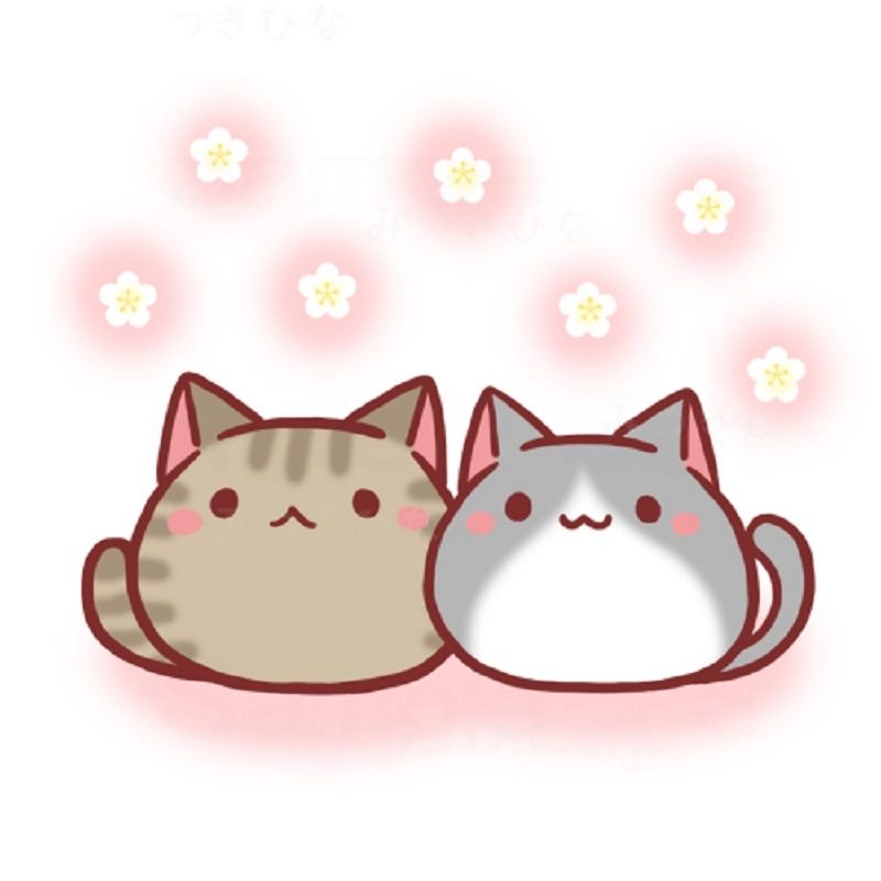 Mèo anime cười