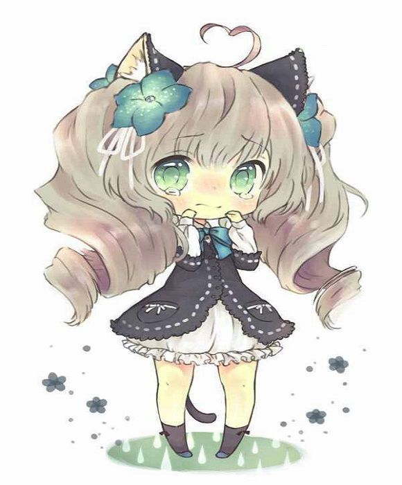 Mèo anime transparent