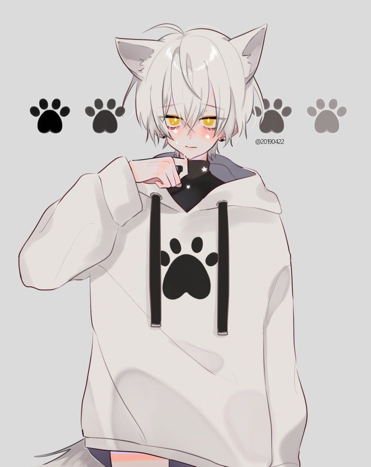 Ảnh mèo nam anime đẹp trai