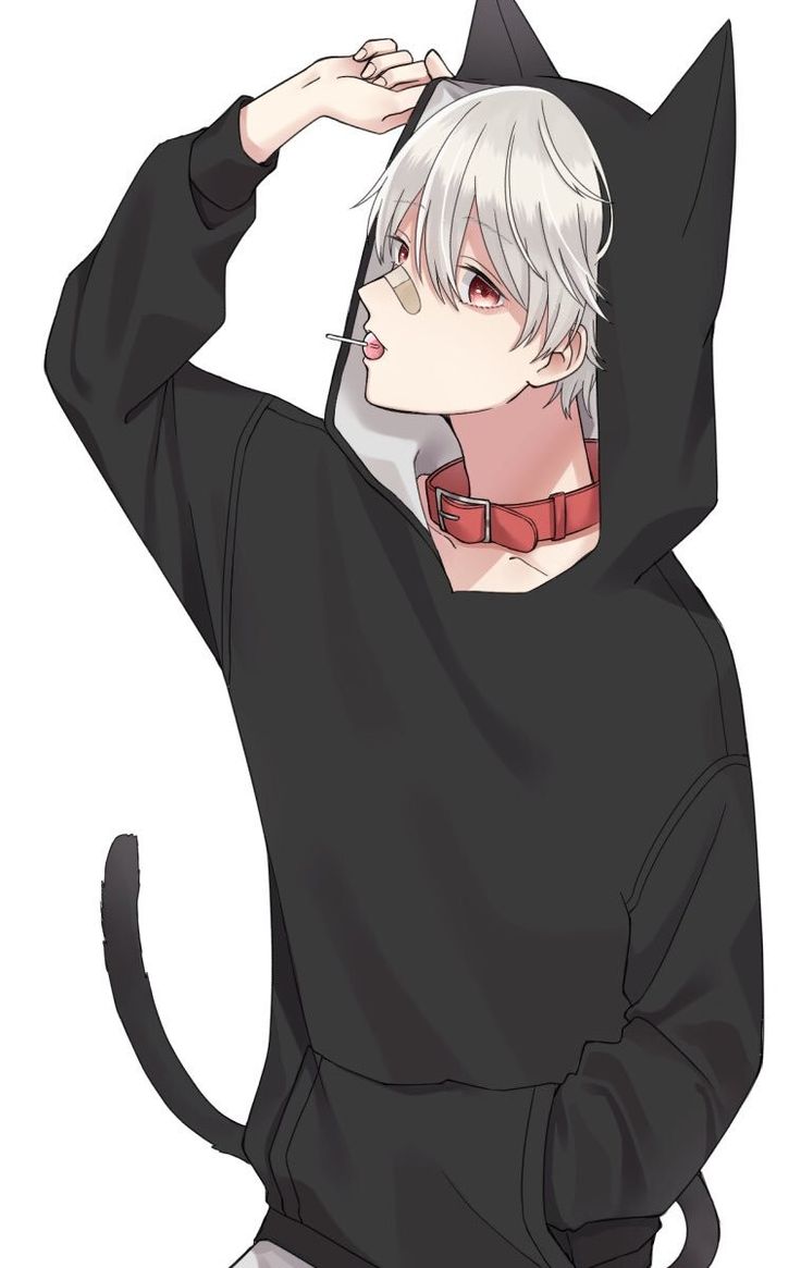 Hình ảnh anime mèo ngầu
