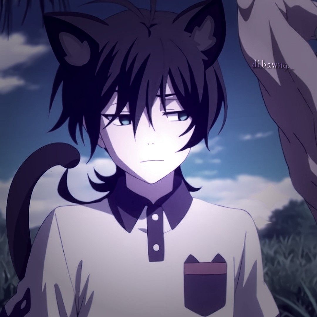 Meme mèo nam anime