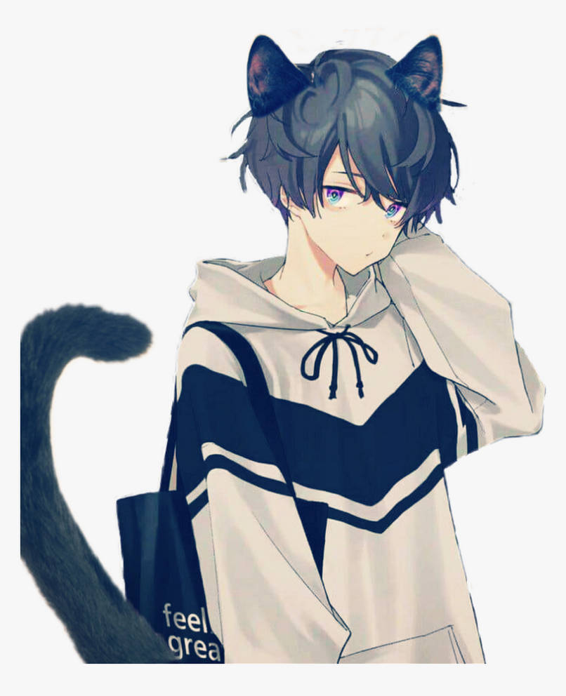 Mèo anime chất lừ