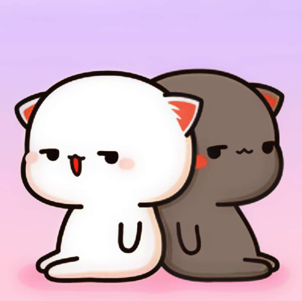 Avatar mèo anime viền đen