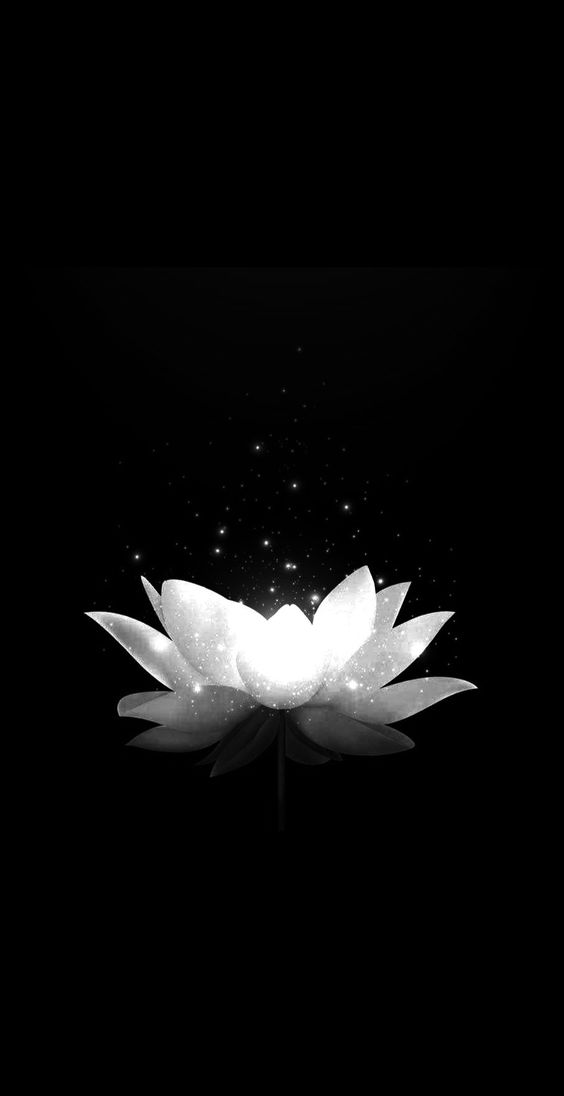 hình nền đen trắng