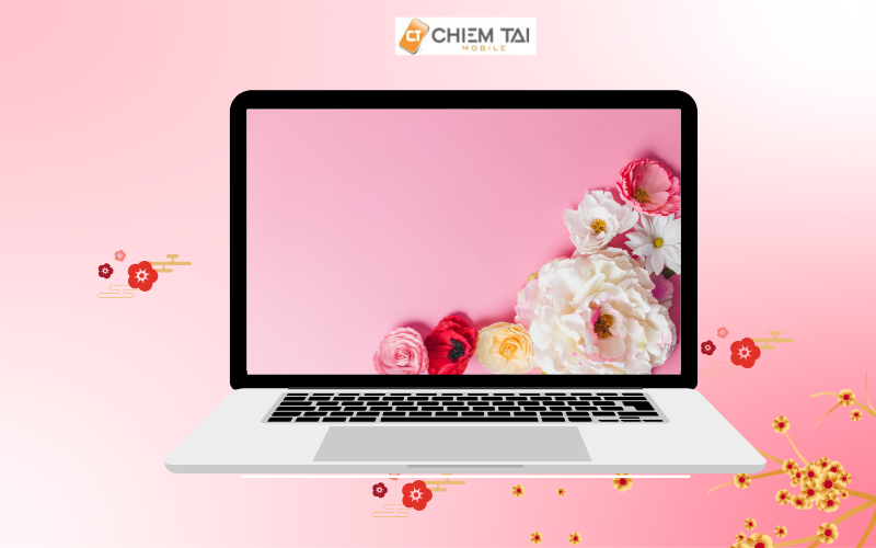 Top 200 Hình nền màu hồng đẹp dễ thương siêu cute và nữ tính