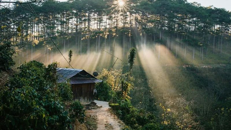 anh-da-lat-4