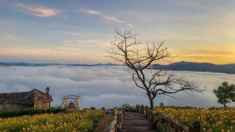anh-da-lat-45